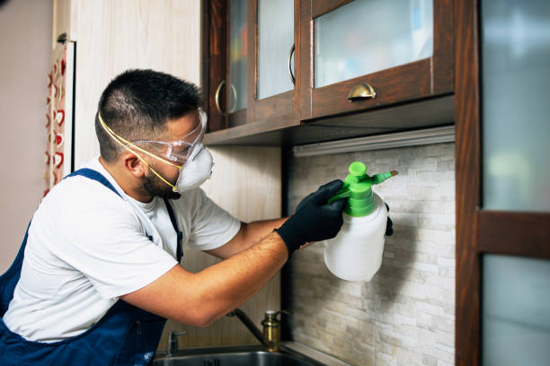 Best Pest Prevention Services  in Brook Highland, AL