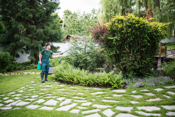 Best Pest Control Cost  in Brook Highland, AL