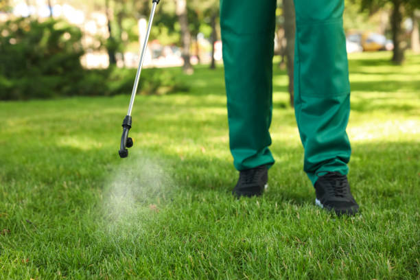 Pest Prevention Services in Brook Highland, AL