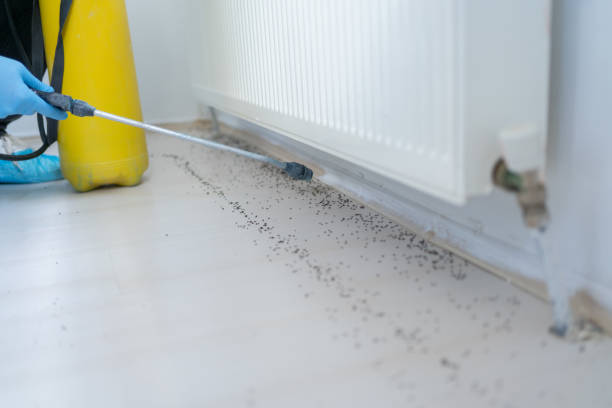 Reliable Brook Highland, AL Pest Control Solutions