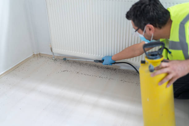 Pest Control Cost in Brook Highland, AL