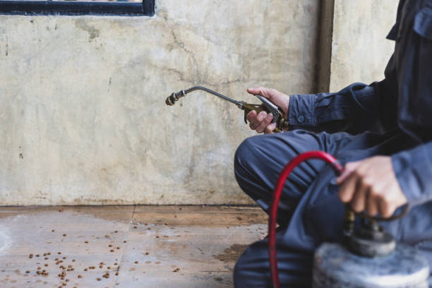 Best Pest Control Near Me  in Brook Highland, AL
